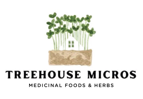Treehouse Micros logo